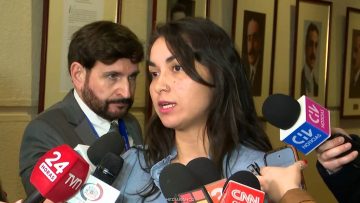 160626C18 DECLARACIONES DIPUTADA SCHÖNHAUT 01