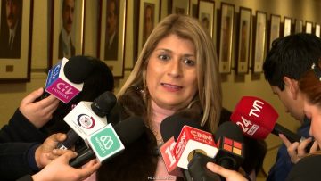 160626C23 DECLARACIONES DIPUTADA PARISI 01