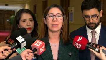 170626C15 DECLARACIONES DIPUTADAS TELLO Y VELOSO 1