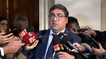 18062603 DECLARACIONES FISCAL JUAN PABLO ARAYA 05 (1)