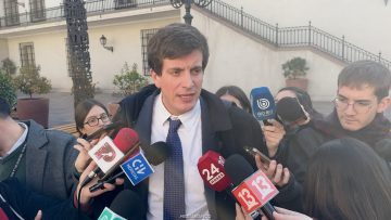 22062614 DECLARACIONES DIEGO SCHALPER 1 (1)