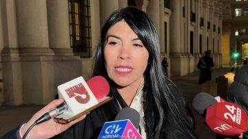 22062628 DECLARACIONES MINISTRA LINCOLAO 01