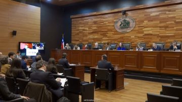 23062615 APOYOS TRIBUNAL CONSTITUCIONAL 01 (1)