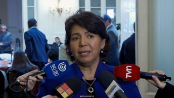 25062612 DECLARACIONES SENADORA YASNA PROVOSTE 01 (1)