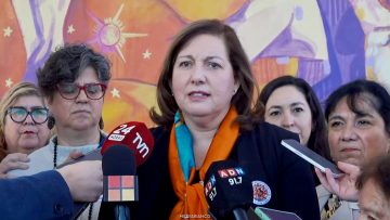 27062605 DECLARACIONES SENADORAS VODANOVIC Y PASCUAL 01