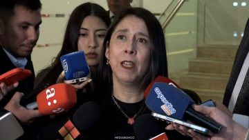 01072610 DECLARACIONES ROCÍO FAÚNDEZ GARCÍA 01