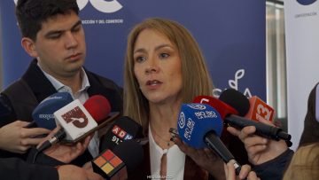 02062608 DECLARACIONES SUSANA JIMENEZ  01