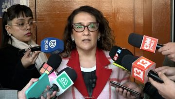 03072617 DECLARACIONES FISCAL MARCELA ADASME 01 (1)