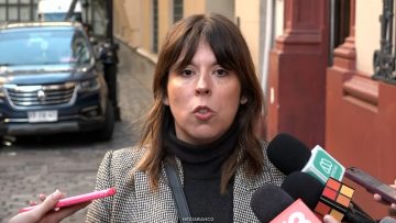 060705 DECLARACIONES CONSTANZA MARTÍNEZ 1