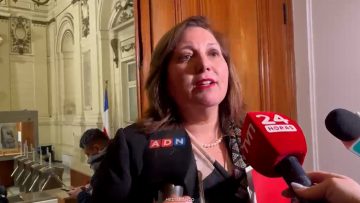 06072636 DECLARACIONES SENADORA VODANOVIC 01