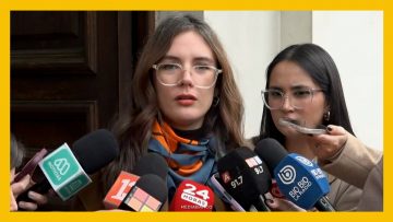 08072610 DECLARACIONES CAMILA VALLEJOS DEST