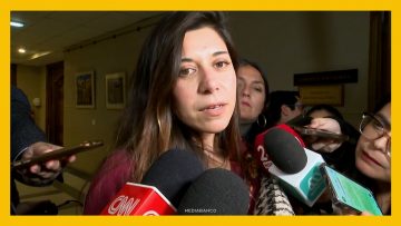 080726C19 DECLARACIONES SENADORA CICARDINI DEST