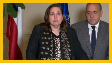 080726C20 DECLARACIONES SENADORA VODANOVIC DEST (1)