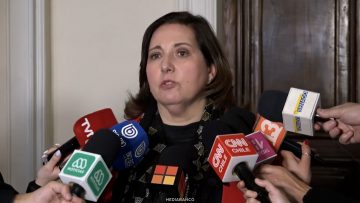 10072617 DECLARACIONES SENADORA VODANOVIC 01 (1)