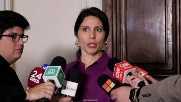 10072619 DECLARACIONES SENADORA GATICA 01