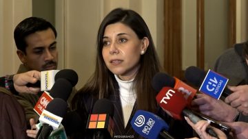 13072632 DECLARACIONES SENADORA CICARDINI 01