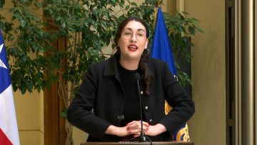140726C03 DECLARACIONES DIPUTADA SCHNEIDER 01