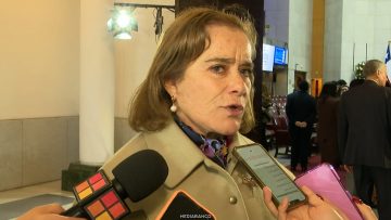 150726C03 DECLARACIONES DIPUTADA FLOR WEISSE 01 (1)