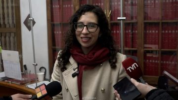 20072612 DECLARACIONES DIPUTADA GAEL YEOMANS 01 (1)