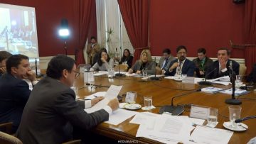 20072618 APOYOS COMISIÓN MIXTA 01
