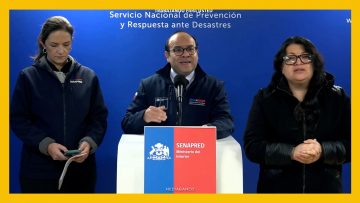 21072601 ACTUALIZACIÓN SENAPRED AM D