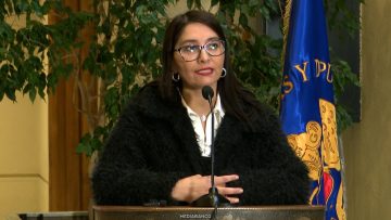 210726C10 DECLARACIONES DIPUTADA CASTILLO 01