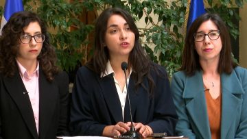 220726C08 DECLARACIONES DIPUTADAS FA 01
