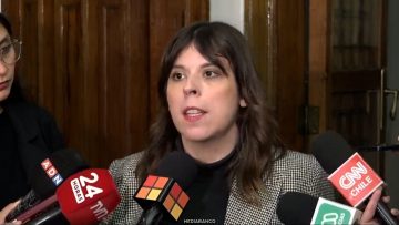 27072612 DECLARACIONES CONSTANZA MARTÍNEZ 01 (2)
