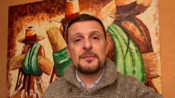 30072622 DECLARACIONES DIPUTADO STEPHAN SCHUBERT 05