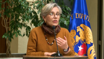 110826C06 DECLARACIONES DIPUTADA LORENA FRIES 01